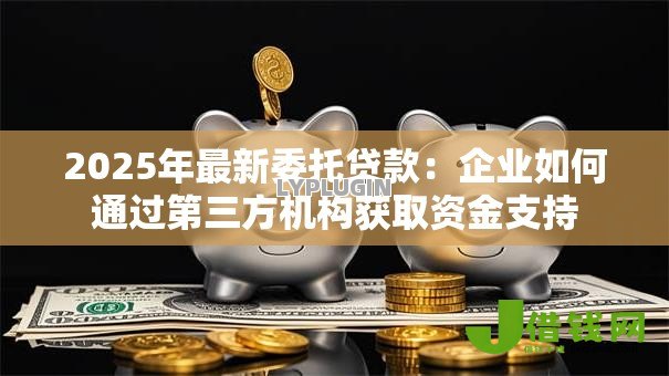 2025年最新委托贷款：企业如何通过第三方机构获取资金支持