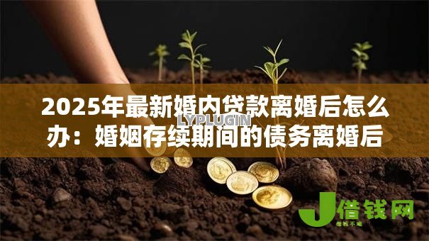 2025年最新婚内贷款离婚后怎么办:婚姻存续期间的债务离婚后如何分担 2025年最新婚内贷款离婚后怎么办:婚姻存续期间的债务离婚后如何分担