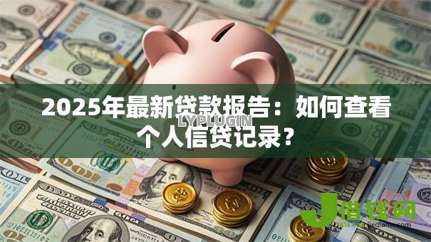 2025年最新贷款报告：如何查看个人信贷记录？