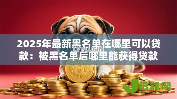 2025年最新黑名单在哪里可以贷款：被黑名单后哪里能获得贷款