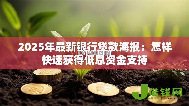 2025年最新银行贷款海报：怎样快速获得低息资金支持