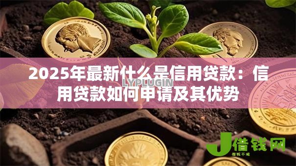 2025年最新什么是信用贷款：信用贷款如何申请及其优势