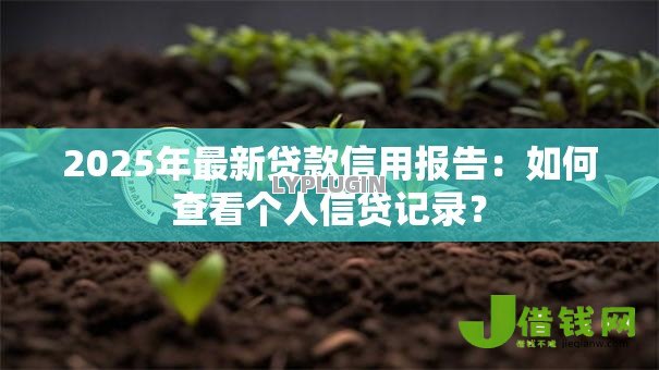 2025年最新贷款信用报告:如何查看个人信贷记录? 2025年最新贷款信用报告:如何查看个人信贷记录?