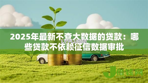 2025年最新不查大数据的贷款:哪些贷款不依赖征信数据审批 2025年最新不查大数据的贷款:哪些贷款不依赖征信数据审批
