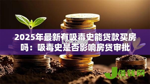2025年最新有吸毒史能贷款买房吗：吸毒史是否影响房贷审批