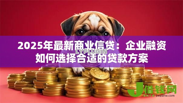 2025年最新商业信贷:企业融资如何选择合适的贷款方案 2025年最新商业信贷:企业融资如何选择合适的贷款方案