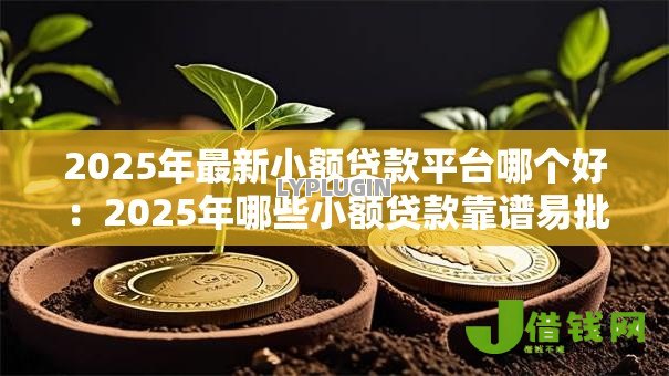 2025年最新小额贷款平台哪个好:2025年哪些小额贷款靠谱易批 2025年最新小额贷款平台哪个好:2025年哪些小额贷款靠谱易批