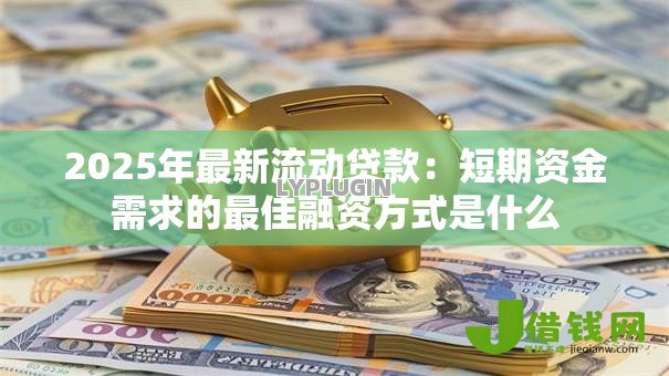 2025年最新流动贷款:短期资金需求的最佳融资方式是什么 2025年最新流动贷款:短期资金需求的最佳融资方式是什么