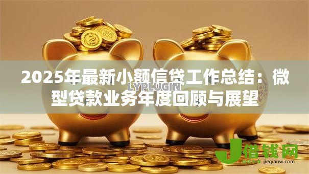 2025年最新小额信贷工作总结：微型贷款业务年度回顾与展望