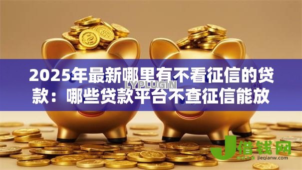 2025年最新哪里有不看征信的贷款:哪些贷款平台不查征信能放款 2025年最新哪里有不看征信的贷款:哪些贷款平台不查征信能放款
