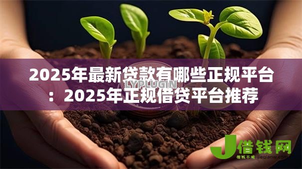 2025年最新贷款有哪些正规平台：2025年正规借贷平台推荐