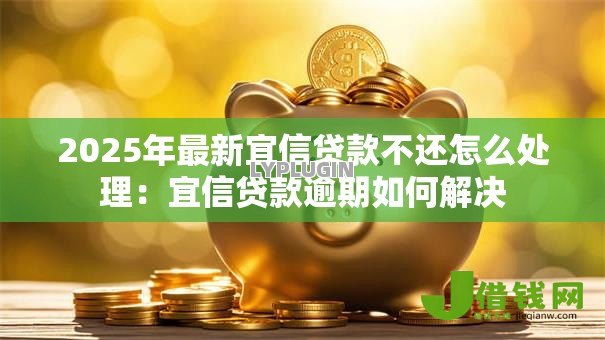 2025年最新宜信贷款不还怎么处理:宜信贷款逾期如何解决 2025年最新宜信贷款不还怎么处理:宜信贷款逾期如何解决
