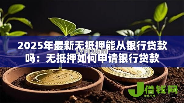 2025年最新无抵押能从银行贷款吗:无抵押如何申请银行贷款 2025年最新无抵押能从银行贷款吗:无抵押如何申请银行贷款