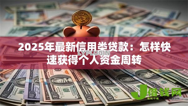 2025年最新信用类贷款：怎样快速获得个人资金周转