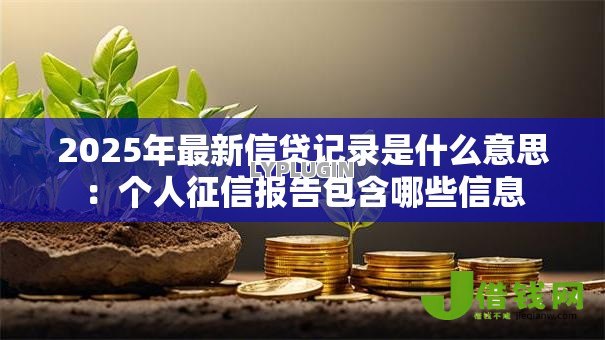 2025年最新信贷记录是什么意思:个人征信报告包含哪些信息 2025年最新信贷记录是什么意思:个人征信报告包含哪些信息