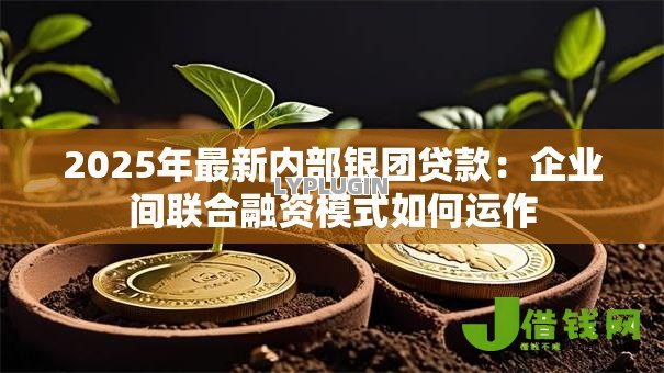 2025年最新内部银团贷款:企业间联合融资模式如何运作 2025年最新内部银团贷款:企业间联合融资模式如何运作
