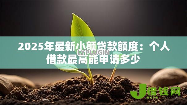 2025年最新小额贷款额度：个人借款最高能申请多少
