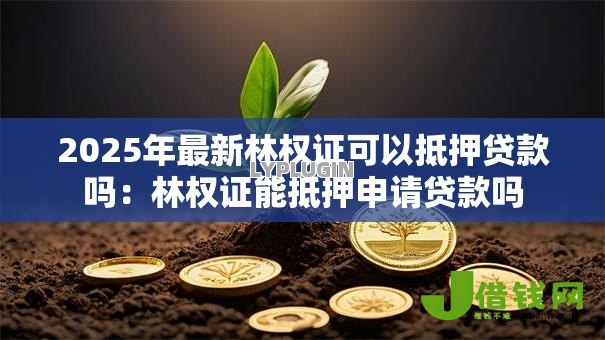 2025年最新林权证可以抵押贷款吗:林权证能抵押申请贷款吗 2025年最新林权证可以抵押贷款吗:林权证能抵押申请贷款吗