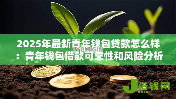 2025年最新青年钱包贷款怎么样:青年钱包借款可靠性和风险分析 2025年最新青年钱包贷款怎么样:青年钱包借款可靠性和风险分析
