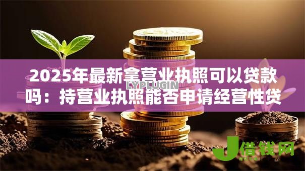 2025年最新拿营业执照可以贷款吗:持营业执照能否申请经营性贷款 2025年最新拿营业执照可以贷款吗:持营业执照能否申请经营性贷款