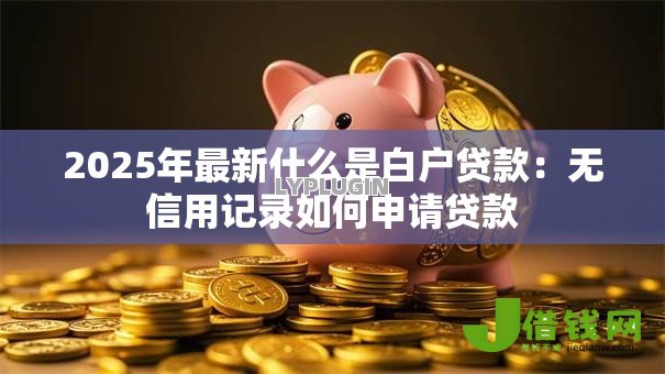 2025年最新什么是白户贷款:无信用记录如何申请贷款 2025年最新什么是白户贷款:无信用记录如何申请贷款