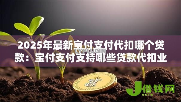 2025年最新宝付支付代扣哪个贷款:宝付支付支持哪些贷款代扣业务 2025年最新宝付支付代扣哪个贷款:宝付支付支持哪些贷款代扣业务