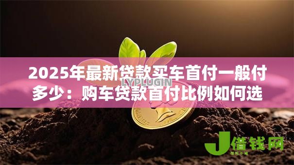 2025年最新贷款买车首付一般付多少:购车贷款首付比例如何选择 2025年最新贷款买车首付一般付多少:购车贷款首付比例如何选择