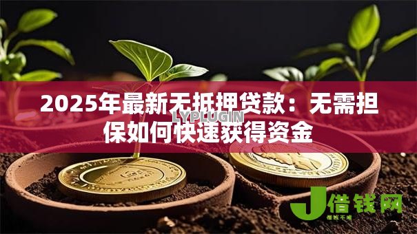 2025年最新无抵押贷款：无需担保如何快速获得资金