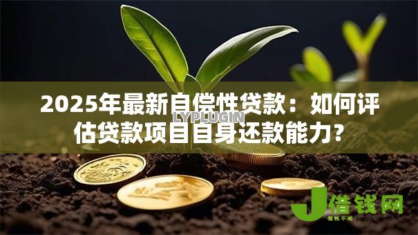 2025年最新自偿性贷款:如何评估贷款项目自身还款能力? 2025年最新自偿性贷款:如何评估贷款项目自身还款能力?