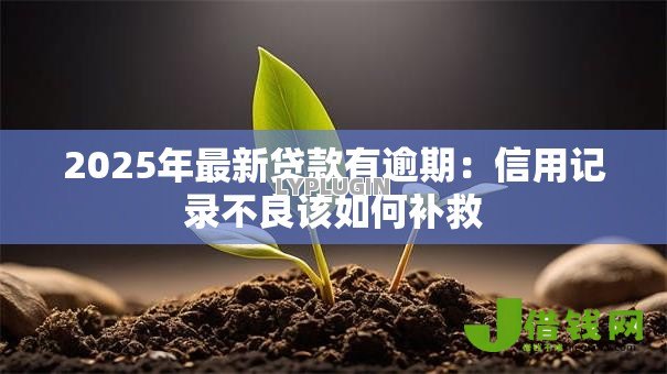 2025年最新贷款有逾期：信用记录不良该如何补救