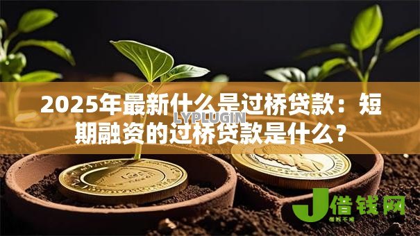 2025年最新什么是过桥贷款：短期融资的过桥贷款是什么？