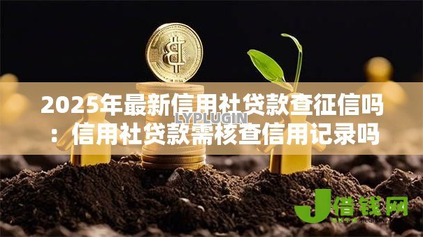 2025年最新信用社贷款查征信吗:信用社贷款需核查信用记录吗 2025年最新信用社贷款查征信吗:信用社贷款需核查信用记录吗