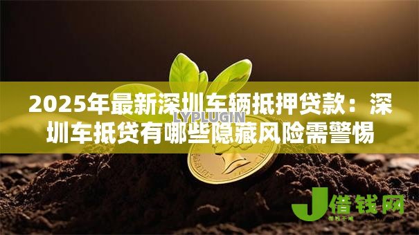 2025年最新深圳车辆抵押贷款：深圳车抵贷有哪些隐藏风险需警惕