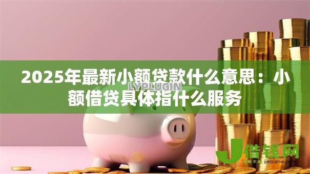 2025年最新小额贷款什么意思:小额借贷具体指什么服务 2025年最新小额贷款什么意思:小额借贷具体指什么服务