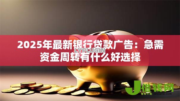 2025年最新银行贷款广告：急需资金周转有什么好选择