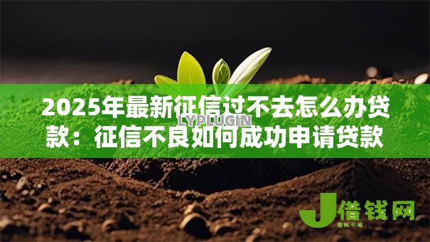 2025年最新征信过不去怎么办贷款:征信不良如何成功申请贷款 2025年最新征信过不去怎么办贷款:征信不良如何成功申请贷款