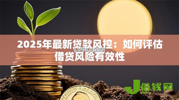 2025年最新贷款风控：如何评估借贷风险有效性