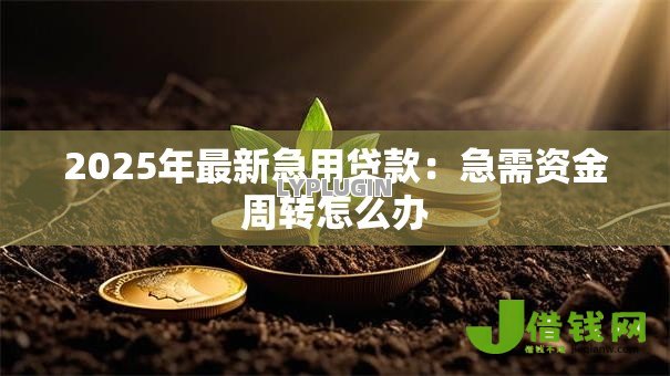 2025年最新急用贷款:急需资金周转怎么办 2025年最新急用贷款:急需资金周转怎么办