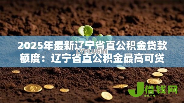 2025年最新辽宁省直公积金贷款额度:辽宁省直公积金最高可贷多少金额 2025年最新辽宁省直公积金贷款额度:辽宁省直公积金最高可贷多少金额