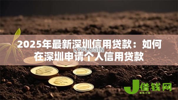 2025年最新深圳信用贷款:如何在深圳申请个人信用贷款 2025年最新深圳信用贷款:如何在深圳申请个人信用贷款