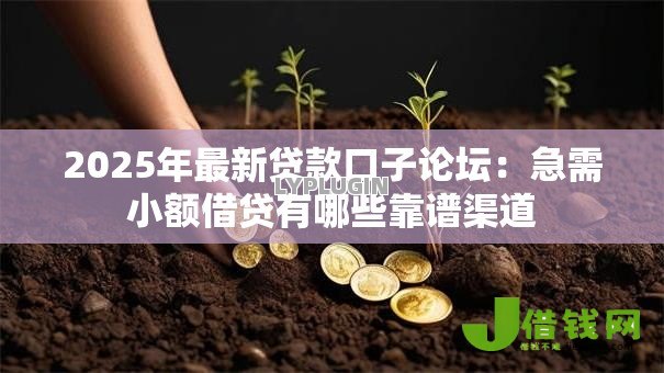 2025年最新贷款口子论坛：急需小额借贷有哪些靠谱渠道