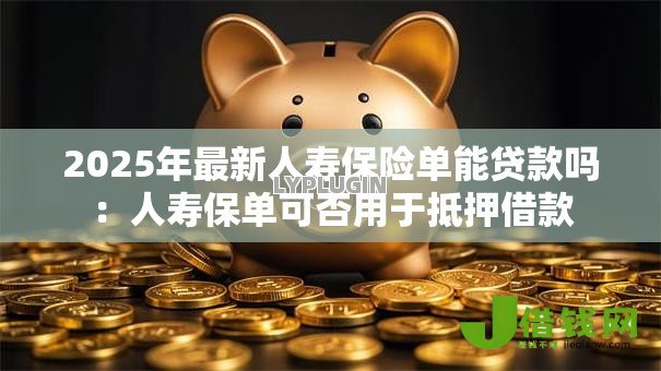 2025年最新人寿保险单能贷款吗:人寿保单可否用于抵押借款 2025年最新人寿保险单能贷款吗:人寿保单可否用于抵押借款