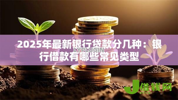 2025年最新银行贷款分几种:银行借款有哪些常见类型 2025年最新银行贷款分几种:银行借款有哪些常见类型