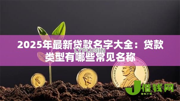 2025年最新贷款名字大全:贷款类型有哪些常见名称 2025年最新贷款名字大全:贷款类型有哪些常见名称
