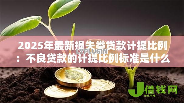 2025年最新损失类贷款计提比例：不良贷款的计提比例标准是什么