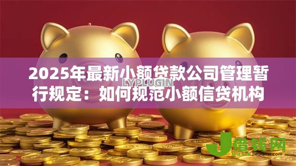 2025年最新小额贷款公司管理暂行规定:如何规范小额信贷机构监管要求 2025年最新小额贷款公司管理暂行规定:如何规范小额信贷机构监管要求