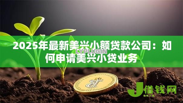 2025年最新美兴小额贷款公司：如何申请美兴小贷业务