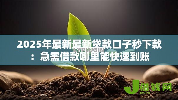 2025年最新最新贷款口子秒下款:急需借款哪里能快速到账 2025年最新最新贷款口子秒下款:急需借款哪里能快速到账