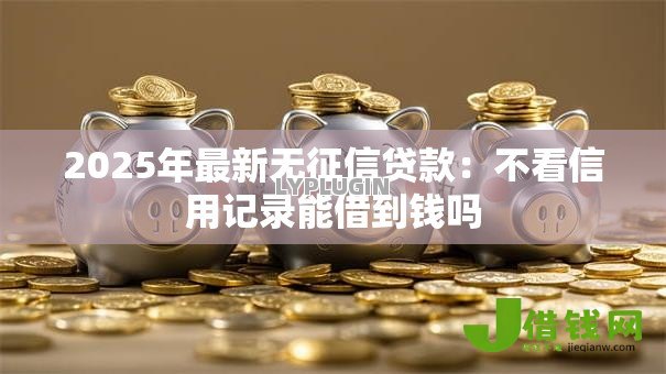 2025年最新无征信贷款：不看信用记录能借到钱吗