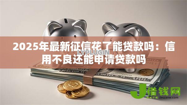 2025年最新征信花了能贷款吗：信用不良还能申请贷款吗